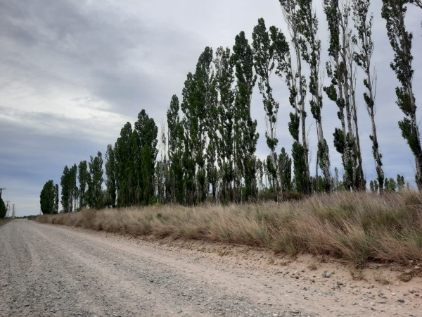 Chacra de 36.163 M2. 